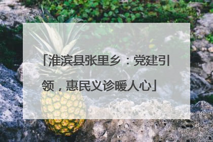 淮滨县张里乡：党建引领，惠民义诊暖人心