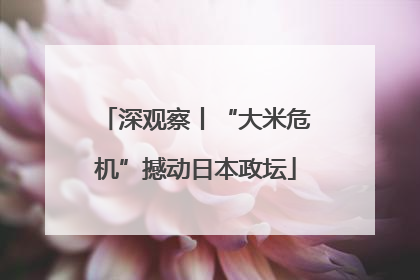 深观察丨“大米危机”撼动日本政坛