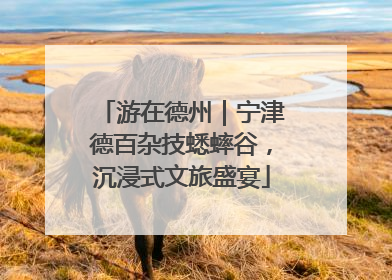 游在德州｜宁津德百杂技蟋蟀谷，沉浸式文旅盛宴