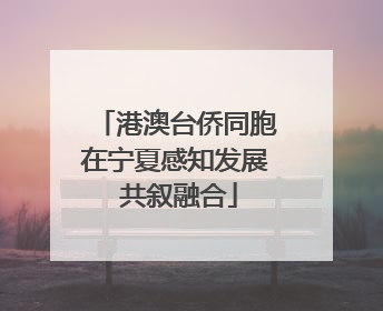 港澳台侨同胞在宁夏感知发展 共叙融合