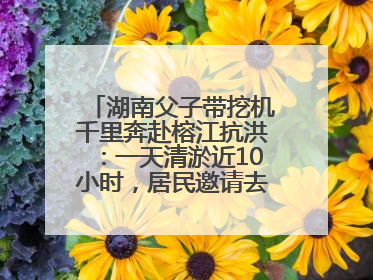 湖南父子带挖机千里奔赴榕江抗洪：一天清淤近10小时，居民邀请去他们家里睡