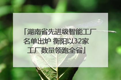湖南省先进级智能工厂名单出炉 衡阳以32家工厂数量领跑全省