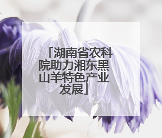 湖南省农科院助力湘东黑山羊特色产业发展