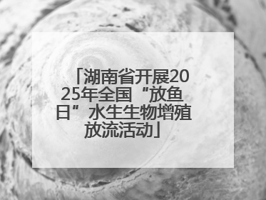 湖南省开展2025年全国“放鱼日”水生生物增殖放流活动