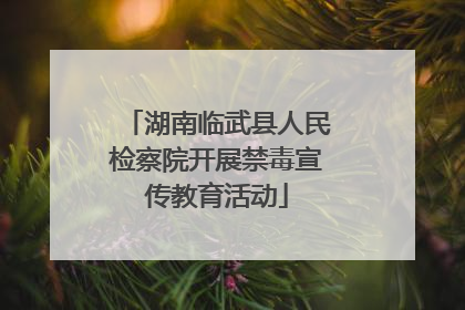 湖南临武县人民检察院开展禁毒宣传教育活动