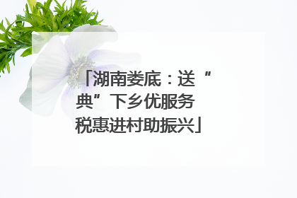 湖南娄底：送“典”下乡优服务 税惠进村助振兴