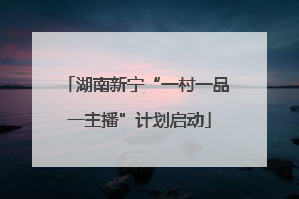 湖南新宁“一村一品一主播”计划启动