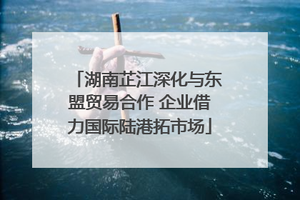 湖南芷江深化与东盟贸易合作 企业借力国际陆港拓市场
