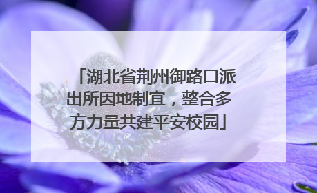 湖北省荆州御路口派出所因地制宜，整合多方力量共建平安校园