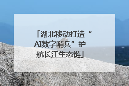 湖北移动打造“AI数字哨兵”护航长江生态链