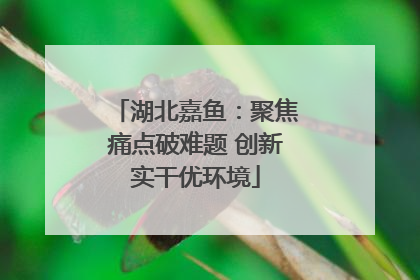 湖北嘉鱼：聚焦痛点破难题 创新实干优环境