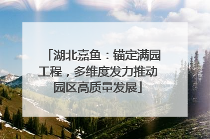 湖北嘉鱼：锚定满园工程，多维度发力推动园区高质量发展