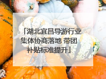 湖北宜昌导游行业集体协商落地 带团补贴标准提升