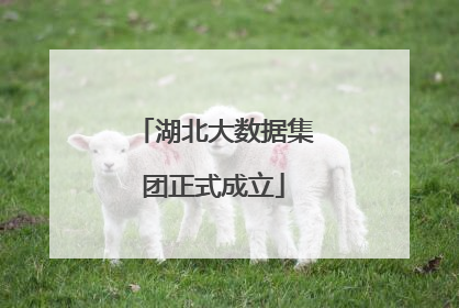湖北大数据集团正式成立