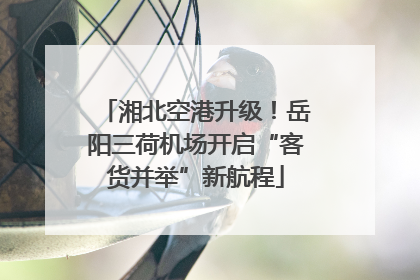 湘北空港升级！岳阳三荷机场开启“客货并举”新航程