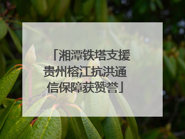 湘潭铁塔支援贵州榕江抗洪通信保障获赞誉