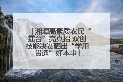 湘潭高素质农民“擂台”亮真招 双创技能决赛晒出“学用贯通”好本事