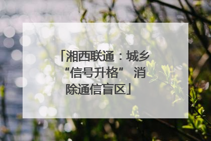 湘西联通：城乡“信号升格” 消除通信盲区