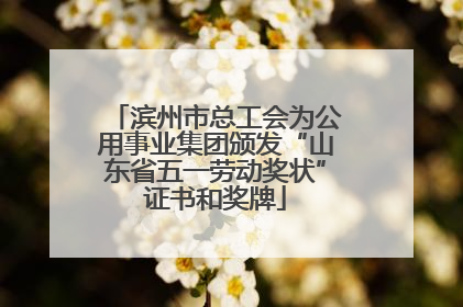 滨州市总工会为公用事业集团颁发“山东省五一劳动奖状”证书和奖牌
