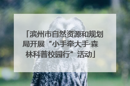 滨州市自然资源和规划局开展“小手牵大手·森林科普校园行”活动