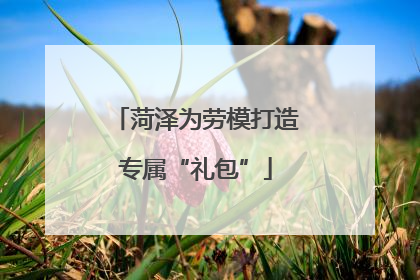 菏泽为劳模打造专属“礼包”