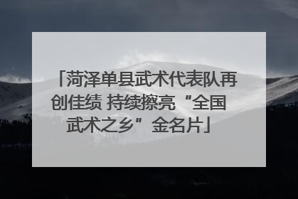 菏泽单县武术代表队再创佳绩 持续擦亮“全国武术之乡”金名片