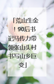 荒山生金！90后书记马传力带领张山头村书写山乡巨变