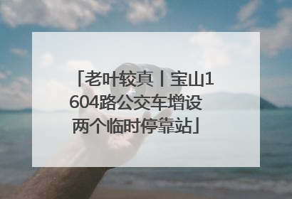 老叶较真丨宝山1604路公交车增设两个临时停靠站