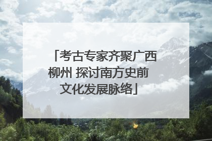 考古专家齐聚广西柳州 探讨南方史前文化发展脉络