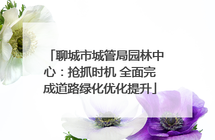 聊城市城管局园林中心：抢抓时机 全面完成道路绿化优化提升
