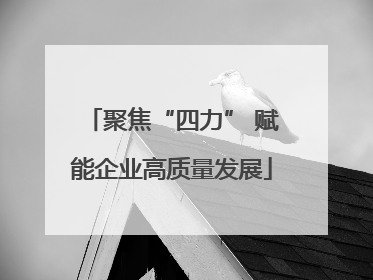 聚焦“四力” 赋能企业高质量发展