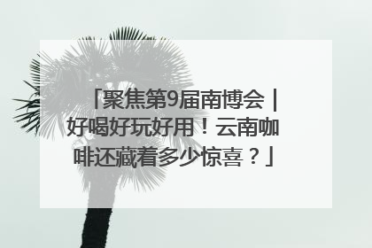 聚焦第9届南博会｜好喝好玩好用！云南咖啡还藏着多少惊喜？
