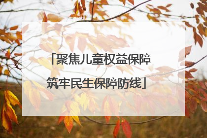 聚焦儿童权益保障 筑牢民生保障防线