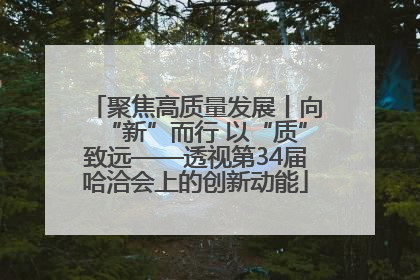 聚焦高质量发展丨向“新”而行 以“质”致远——透视第34届哈洽会上的创新动能