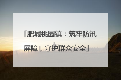 肥城桃园镇：筑牢防汛屏障，守护群众安全