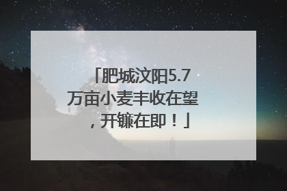 肥城汶阳5.7万亩小麦丰收在望，开镰在即！