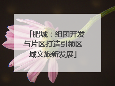 肥城：组团开发与片区打造引领区域文旅新发展