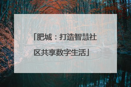 肥城：打造智慧社区共享数字生活