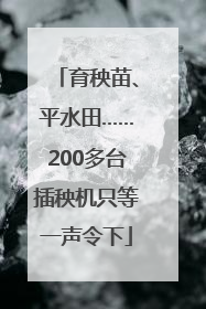 育秧苗、平水田……200多台插秧机只等一声令下