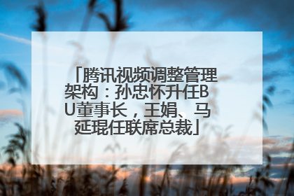 腾讯视频调整管理架构：孙忠怀升任BU董事长，王娟、马延琨任联席总裁