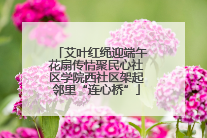 艾叶红绳迎端午花扇传情聚民心社区学院西社区架起邻里“连心桥”