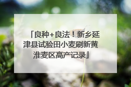 良种+良法！新乡延津县试验田小麦刷新黄淮麦区高产记录