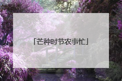 芒种时节农事忙
