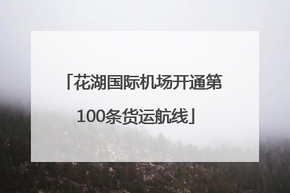 花湖国际机场开通第100条货运航线