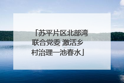苏平片区北部湾联合党委 激活乡村治理一池春水