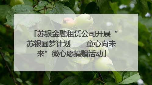 苏银金融租赁公司开展“苏银圆梦计划——童心向未来”微心愿捐赠活动
