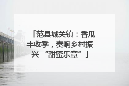 范县城关镇：香瓜丰收季，奏响乡村振兴 “甜蜜乐章”