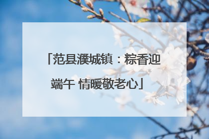范县濮城镇：粽香迎端午 情暖敬老心