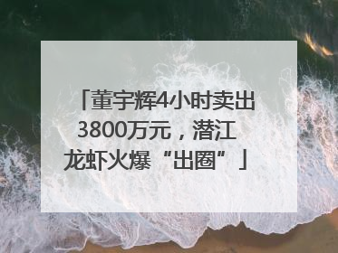 董宇辉4小时卖出3800万元，潜江龙虾火爆“出圈”