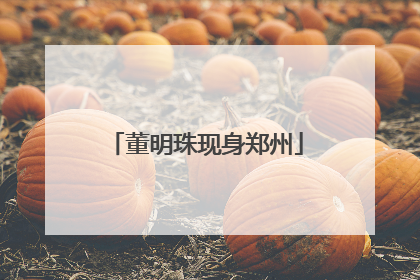 董明珠现身郑州